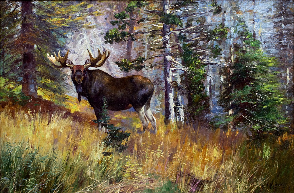 Moose in a Landscape – Carl Rungius Tablo