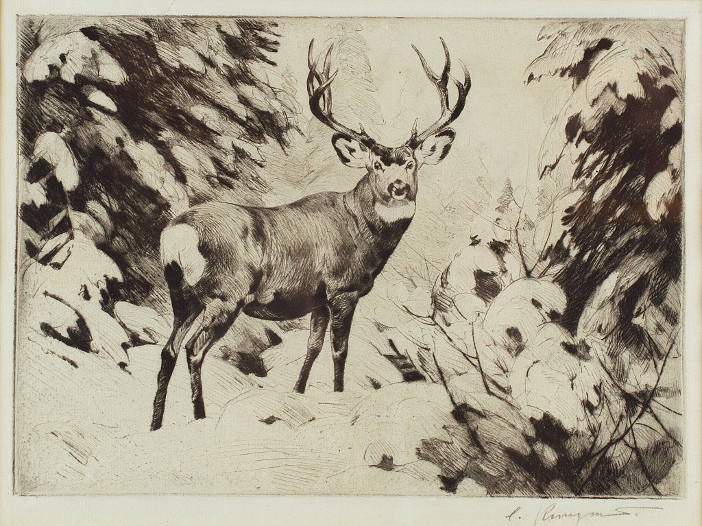 Mule Deer - Carl Rungius Tablo