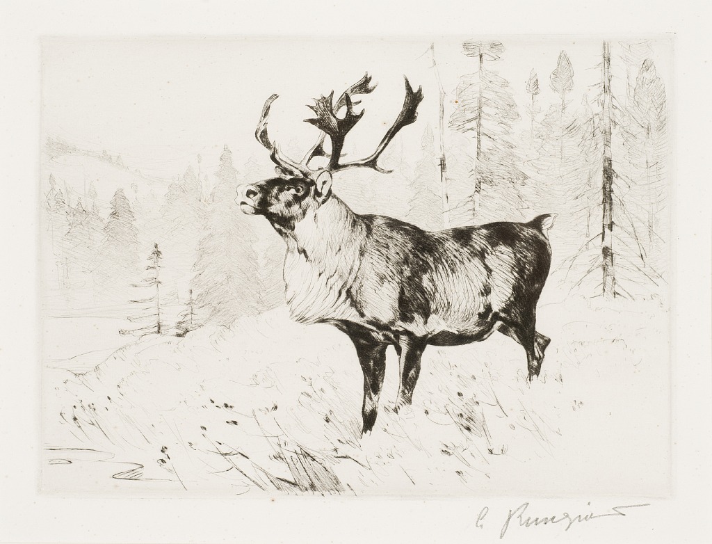 Woodland Stag (1926) - Carl Rungius Tablo