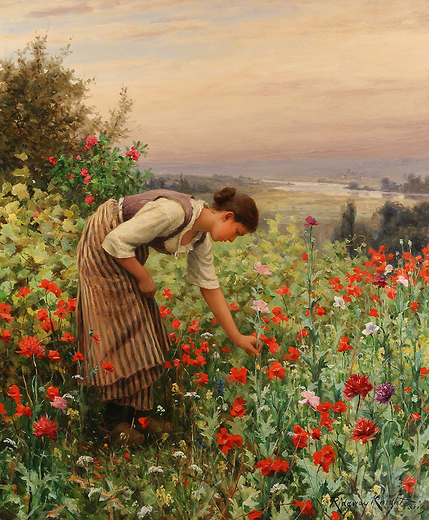 Girl Picking Poppies (1898) - Daniel Ridgway Knight Tablo