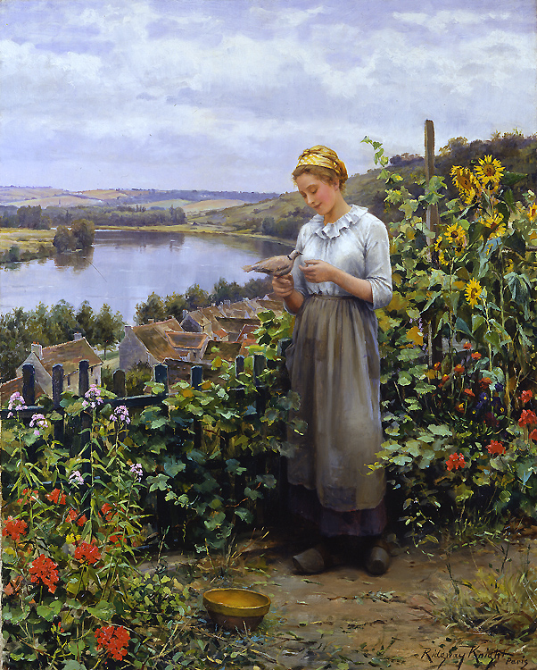 The Pet Dove (1895) - Daniel Ridgway Knight Tablo