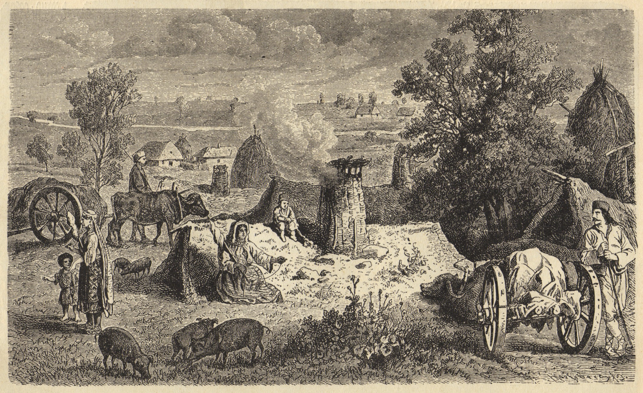Vasilovtsi (1864) - Felix Philipp Kanitz Tablo