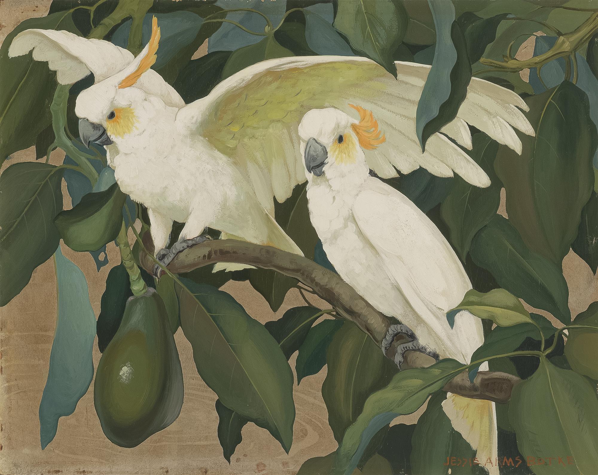 White Cockatoos In An Avocado Tree Jessie Arms Botke tablo - Dekolata