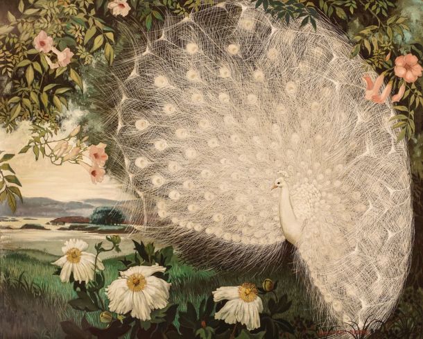 White Peacock Jessie Arms Botke tablo - Dekolata