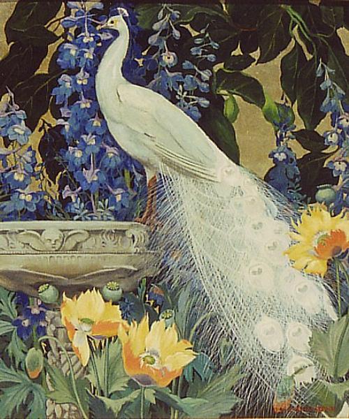 White Peacock and Poppies Jessie Arms Botke tablo - Dekolata