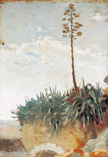 Pitas José Garnelo tablo - Dekolata