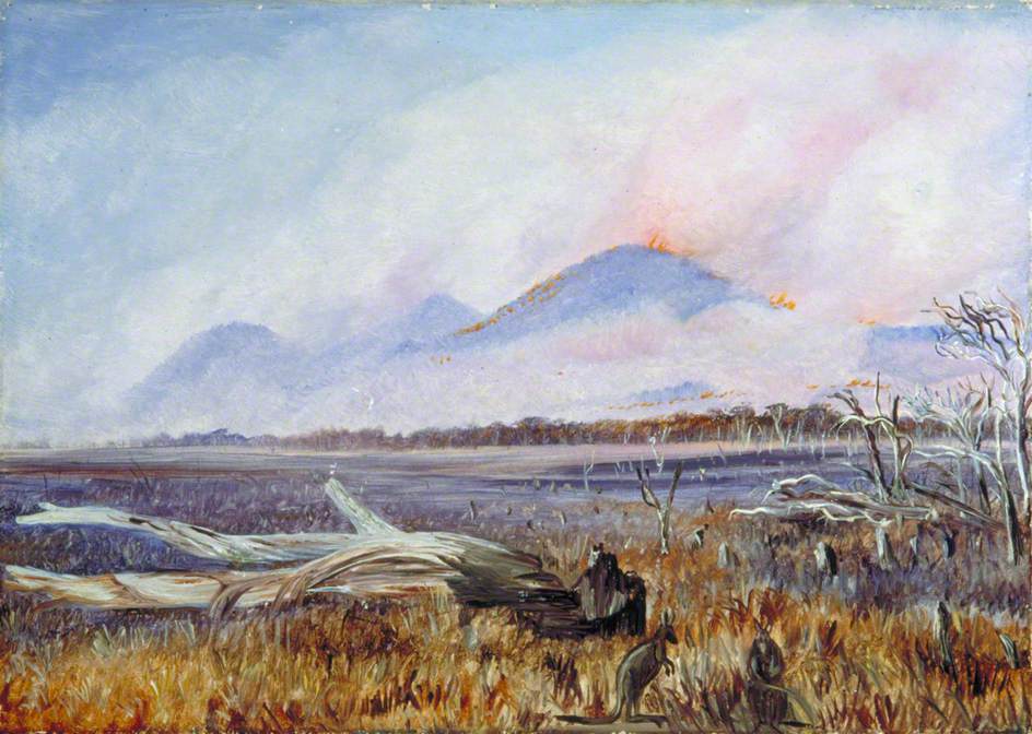 A Bush Fire at Sunset, Queensland (1880) Marianne North tablo - Dekolata