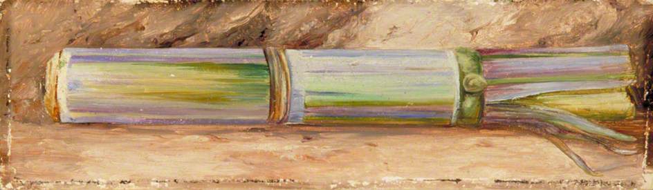 A Piece of Sugar Cane (1870) – Marianne North Tablo