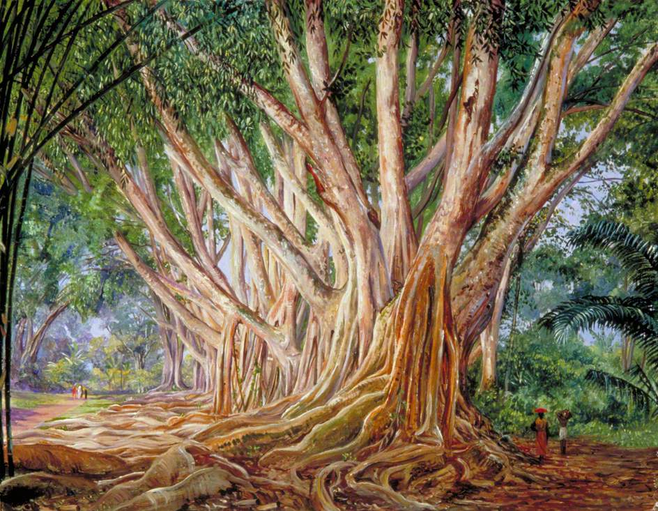 Avenue of Indian Rubber Trees at Peradeniya, Ceylon (1877) Marianne North tablo - Dekolata