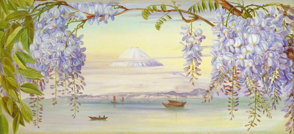 Distant View of Mount Fujiyama, Japan, and Wistaria (1876) – Marianne North Tablo