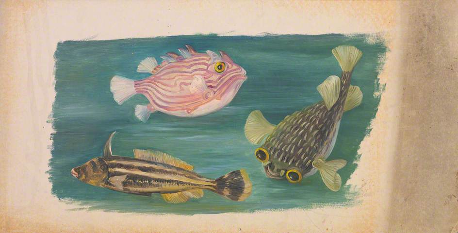Fishes (1870) Marianne North tablo - Dekolata