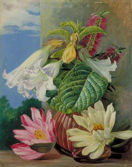 Flowers Cultivated in the Botanic Garden, Rio Janeiro, Brazil Marianne North tablo - Dekolata