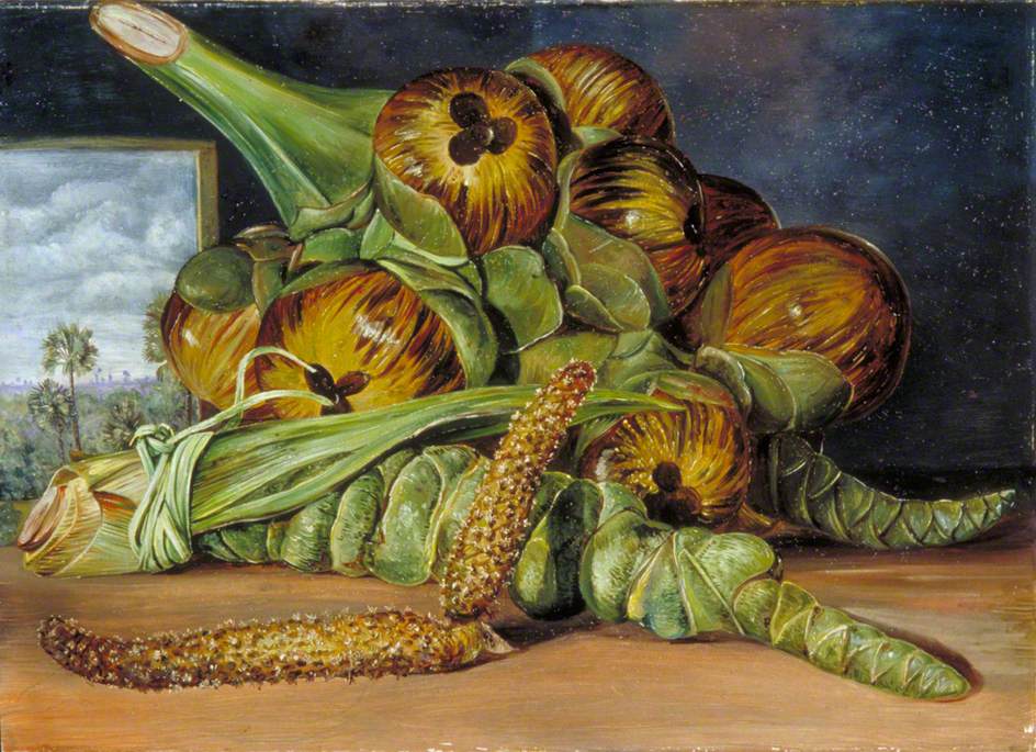 Flowers and Fruit of the Palmyra, and the Palm Seen through a Window, Java (1870) Marianne North tablo - Dekolata