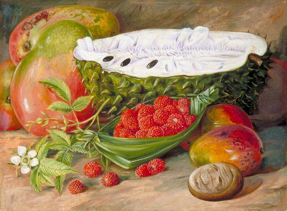 Fruit Grown in the Seychelles (1883) – Marianne North Tablo