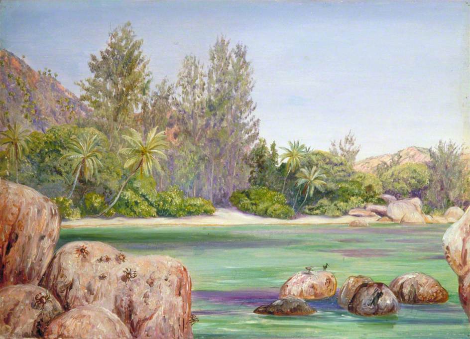 Life on the Coast of Praslin, Seychelles (1883) – Marianne North Tablo