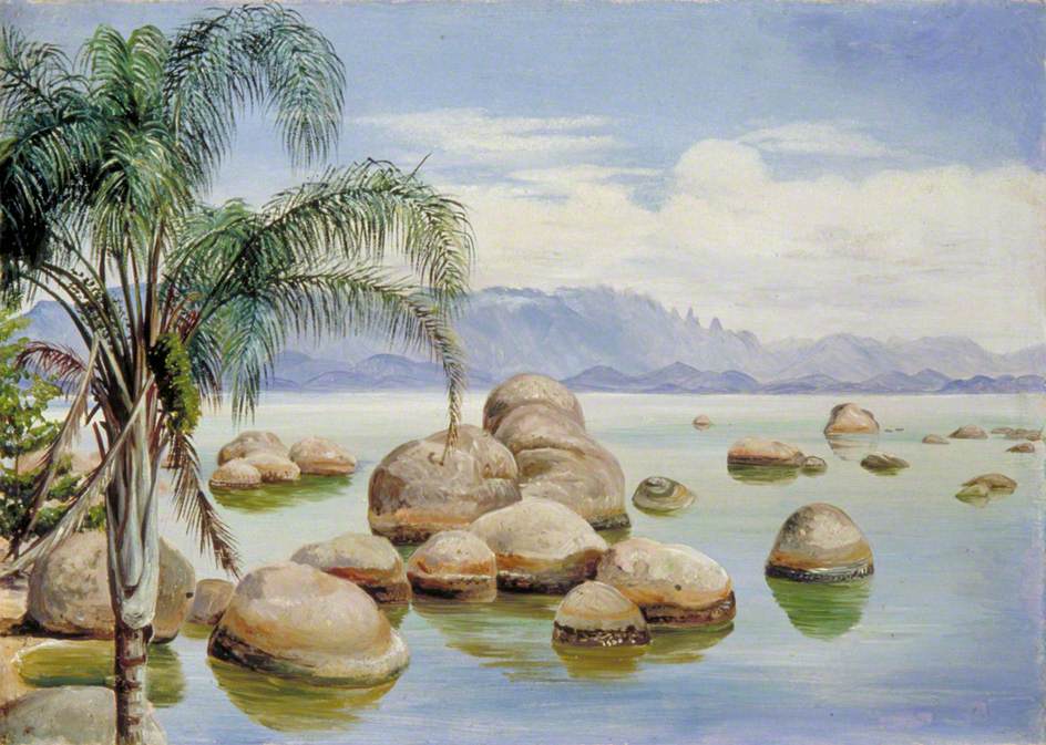 Palm Trees and Boulders in the Bay of Rio, Brazil (1873) – Marianne North Tablo