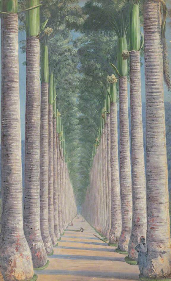 Royal Palm Avenue (1872) Marianne North tablo - Dekolata