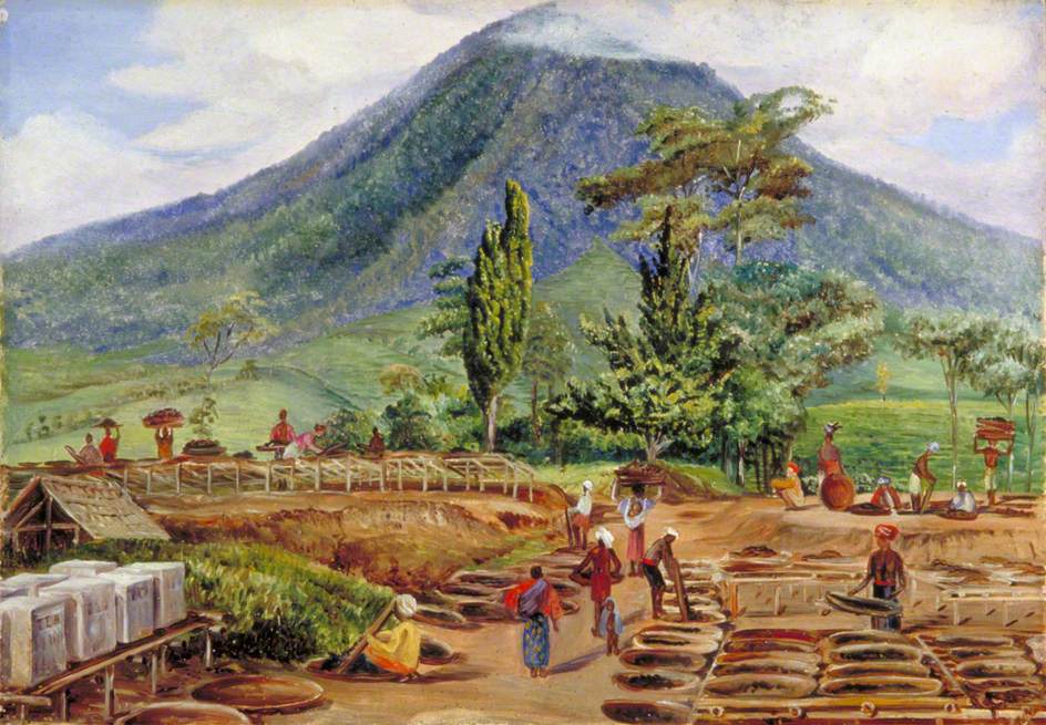 Tea Drying in Mr Hölle's Establishment, Java (1876) Marianne North tablo - Dekolata