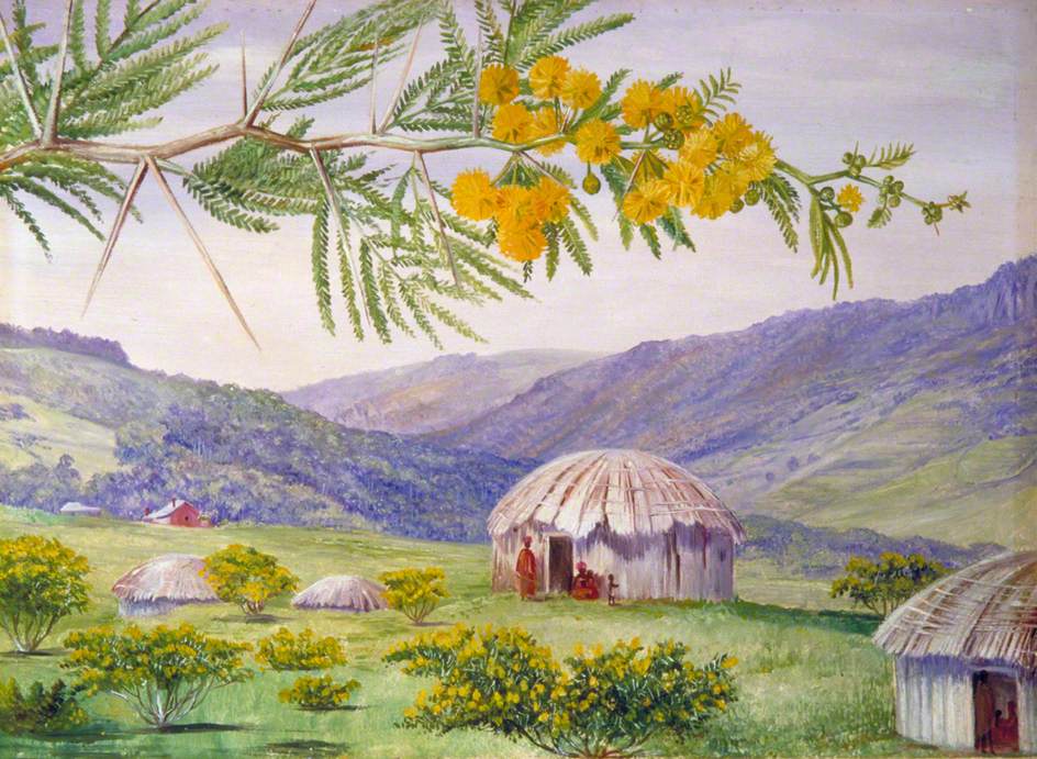 The South African Doornboom and Fingo Huts (1882) Marianne North tablo - Dekolata