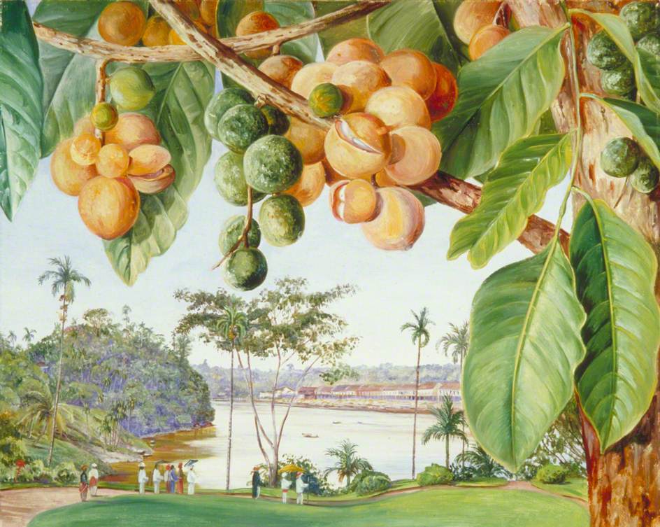View from the Istana, Sarawak, Borneo (1876) Marianne North tablo - Dekolata