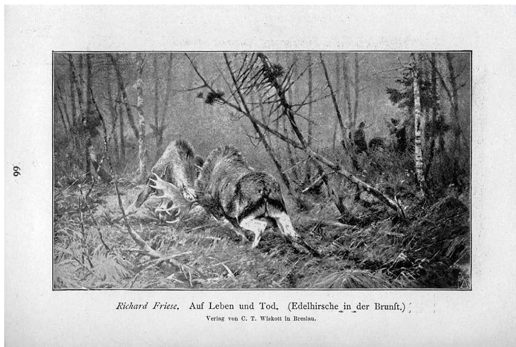 Auf Leben und Tod (Edelhirsche in der Brunft) (1897) – Richard Friese Tablo