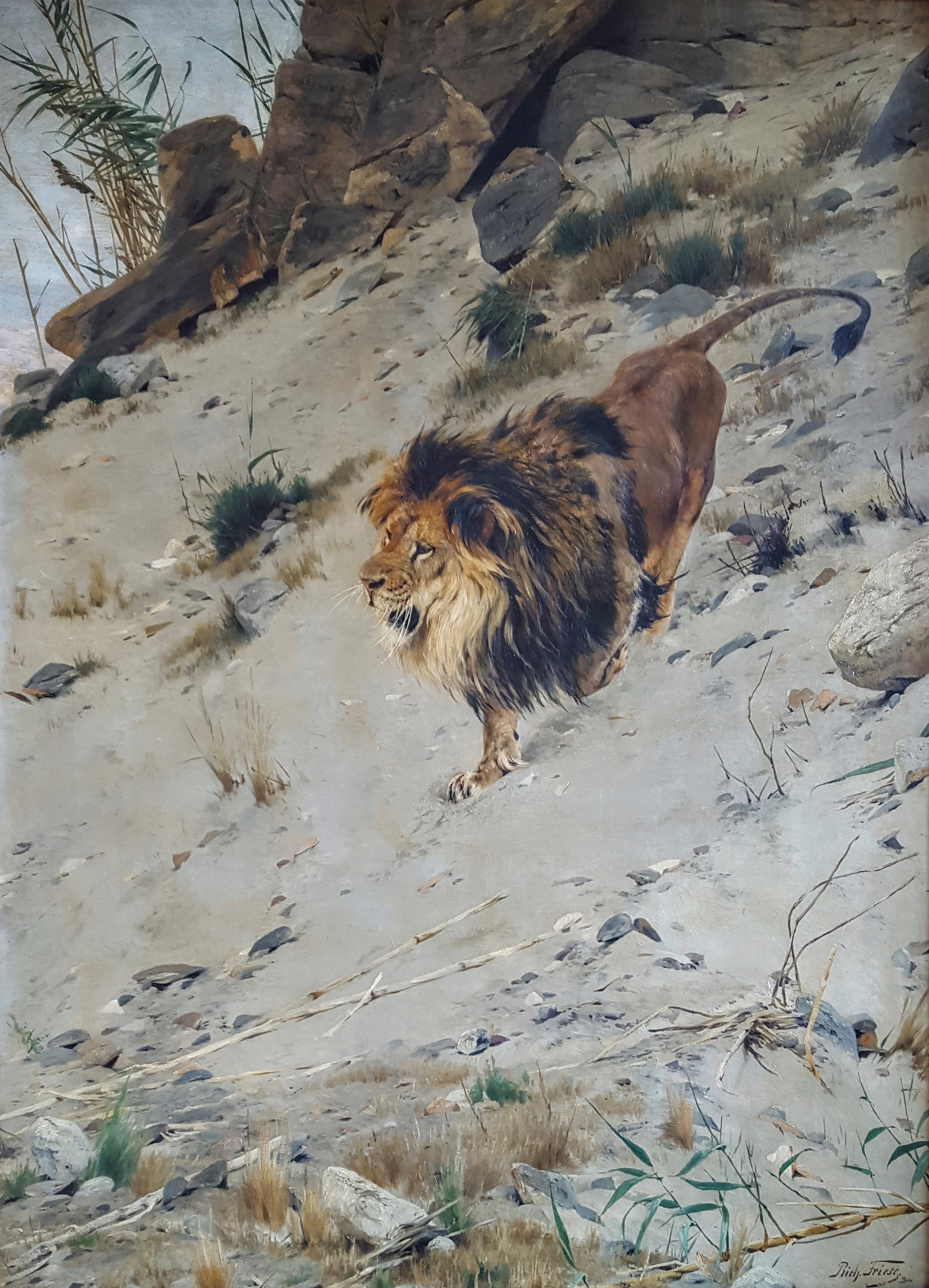 Der alte Herr vom Berg Richard Friese tablo - Dekolata