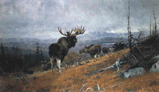 Elchrudel auf einem Berghang (Preussen) (1908) – Richard Friese Tablo