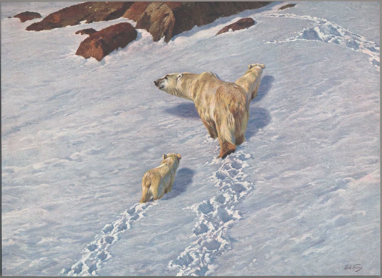Polar bear family Richard Friese tablo - Dekolata