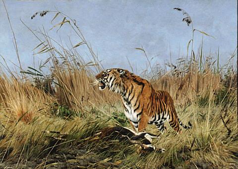The Tiger (1890) Richard Friese tablo - Dekolata