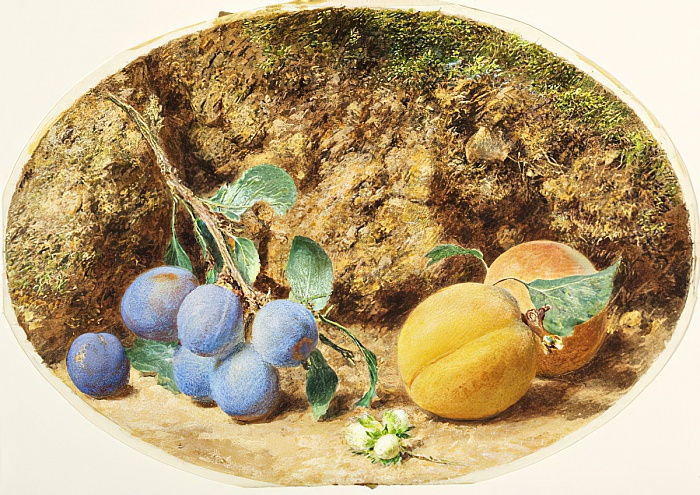 Apricots and woodnuts (1860) William Henry Hunt tablo - Dekolata