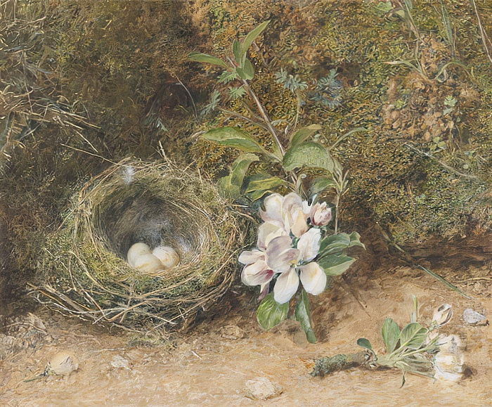 Bird's nest with sprays of apple blossoms (1845) William Henry Hunt tablo - Dekolata