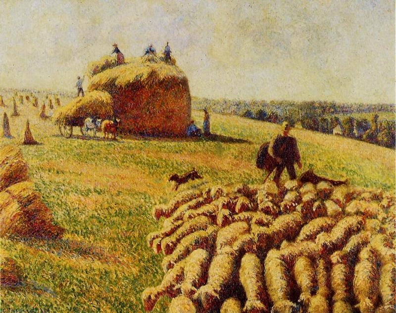 Flock of Sheep in a Field after the Harvest (1889) - Camille Pissarro Tablo