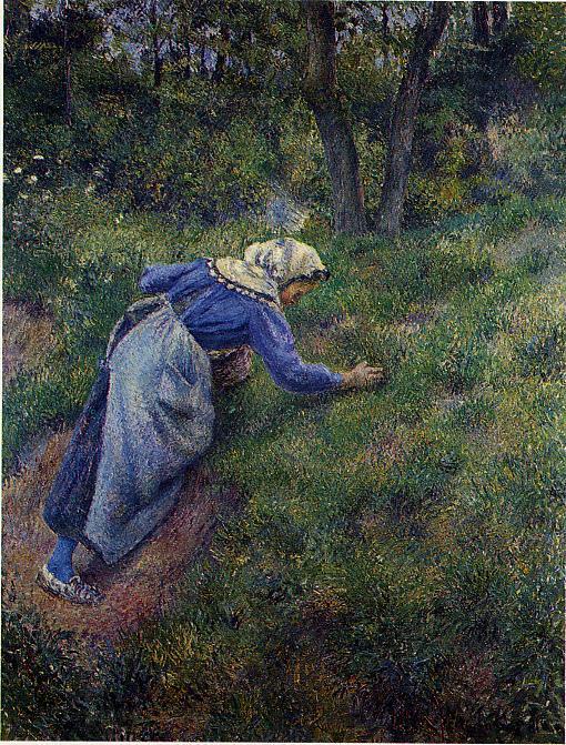 Peasant Gathering Grass (1881) - Camille Pissarro Tablo