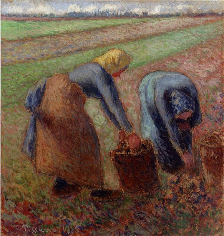 Potato Harvest (1885) - Camille Pissarro Tablo
