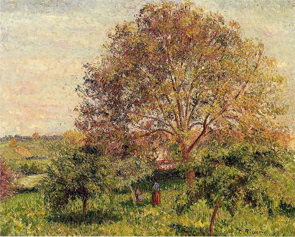 Walnut Tree in Spring (1894) - Camille Pissarro Tablo