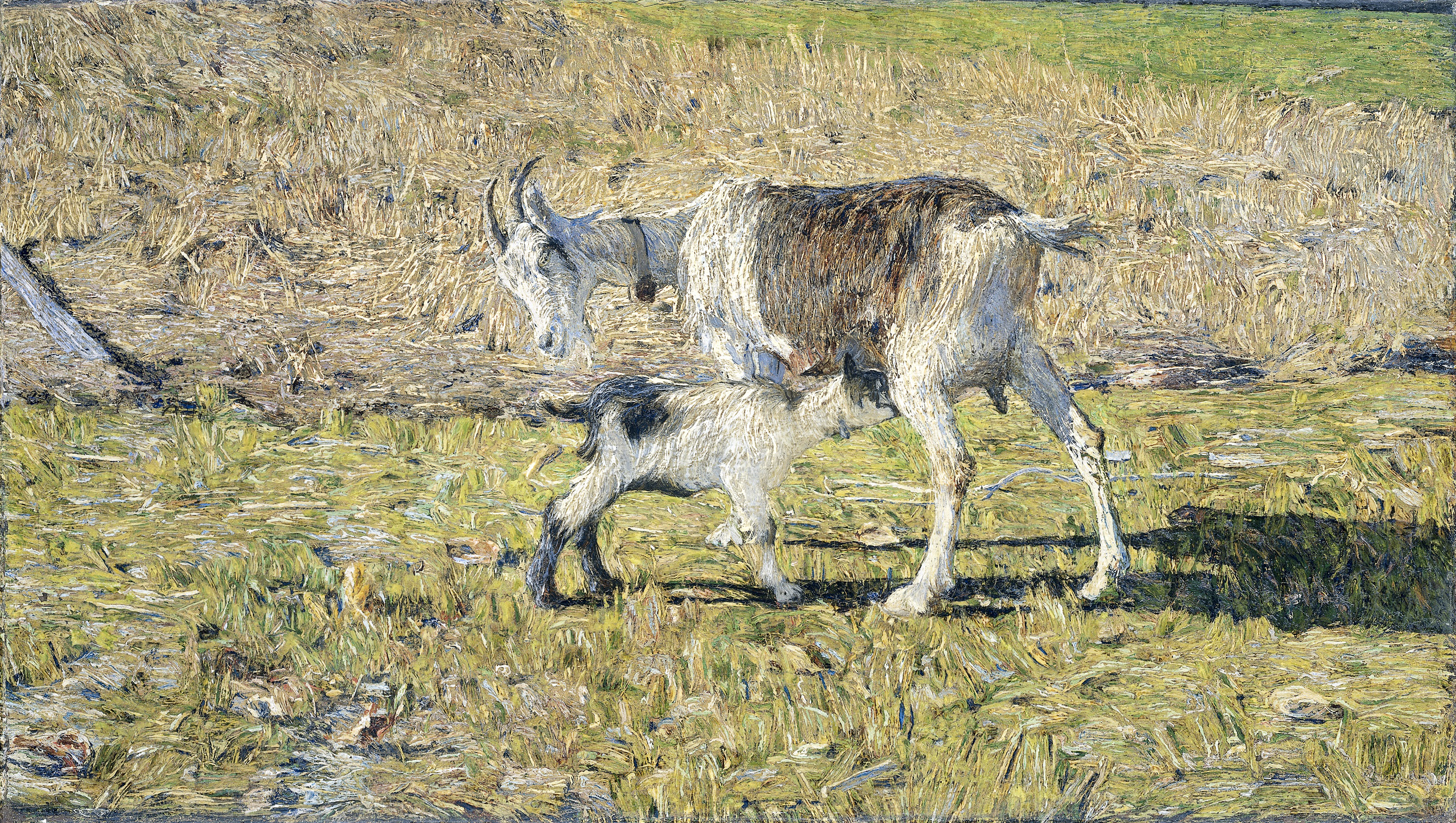 Goat with Her Young (1890) - Giovanni Segantini Tablo