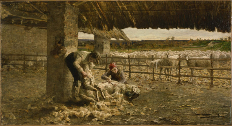 The Sheepshearing - Giovanni Segantini Tablo