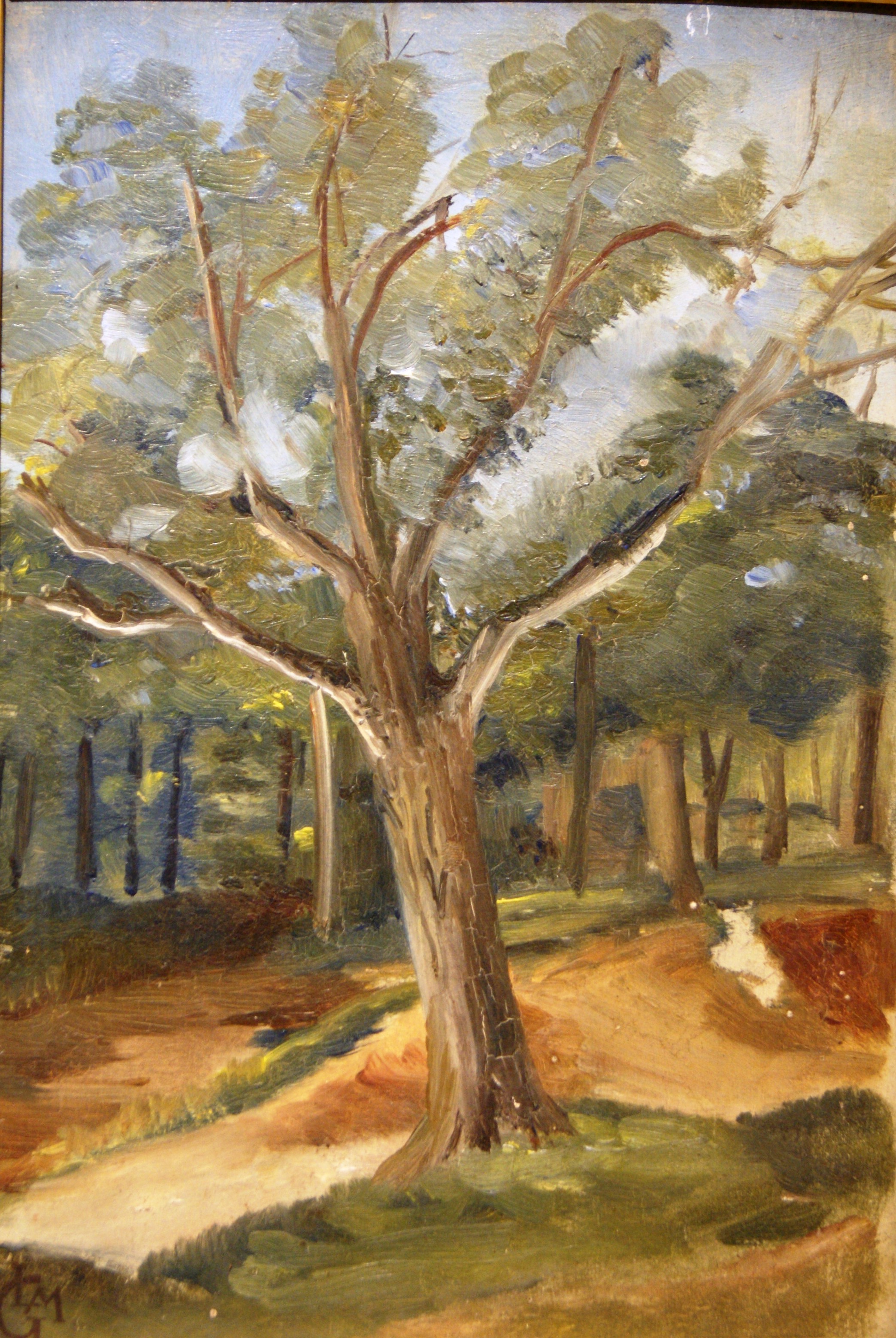 Les grands arbres dans la clairière Léo Gausson tablo - Dekolata