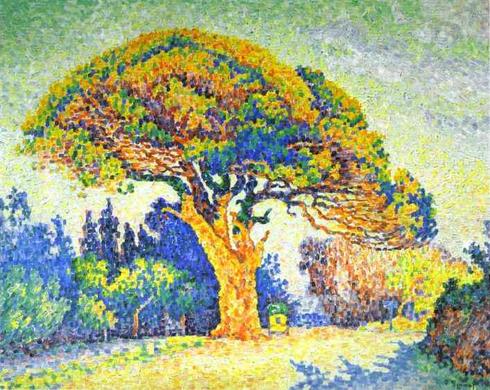 The Pine Tree at St. Tropez (1909) Paul Signac tablo - Dekolata