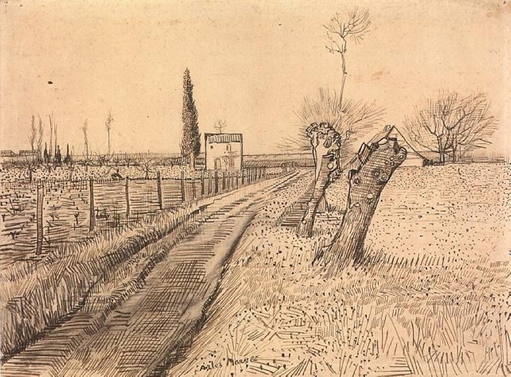 Landscape with Path and Pollard Trees (1888) Vincent van Gogh tablo - Dekolata