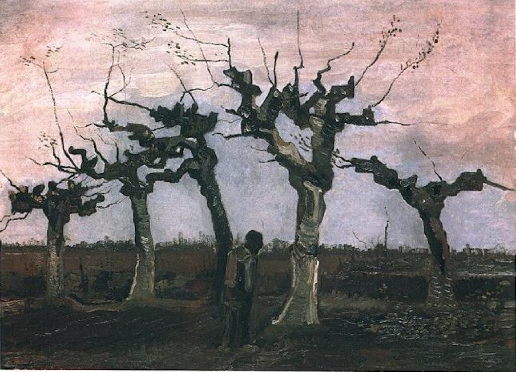 Landscape with Pollard Willows (1884) Vincent van Gogh tablo - Dekolata