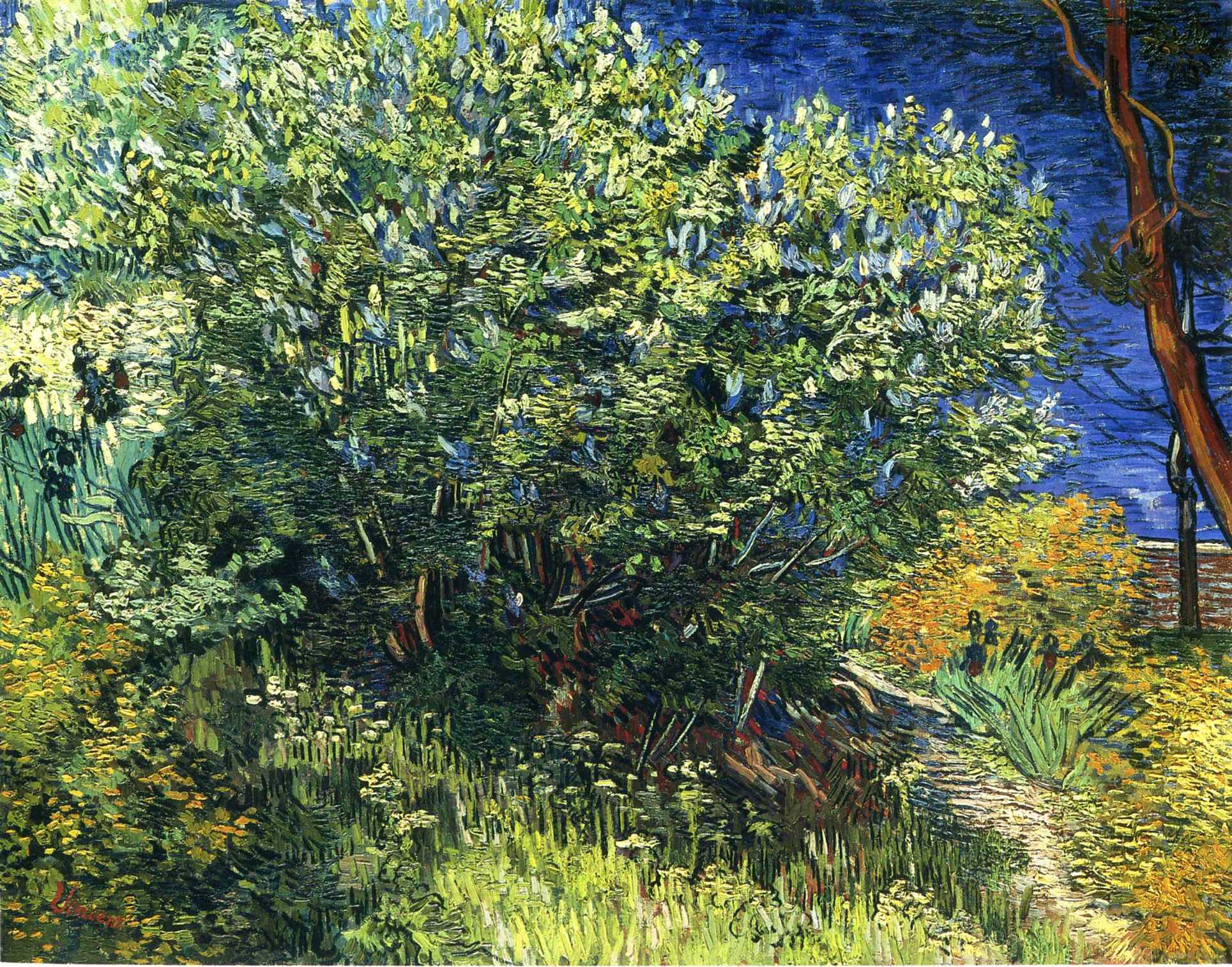 Lilac Bush (1889) Vincent van Gogh tablo - Dekolata