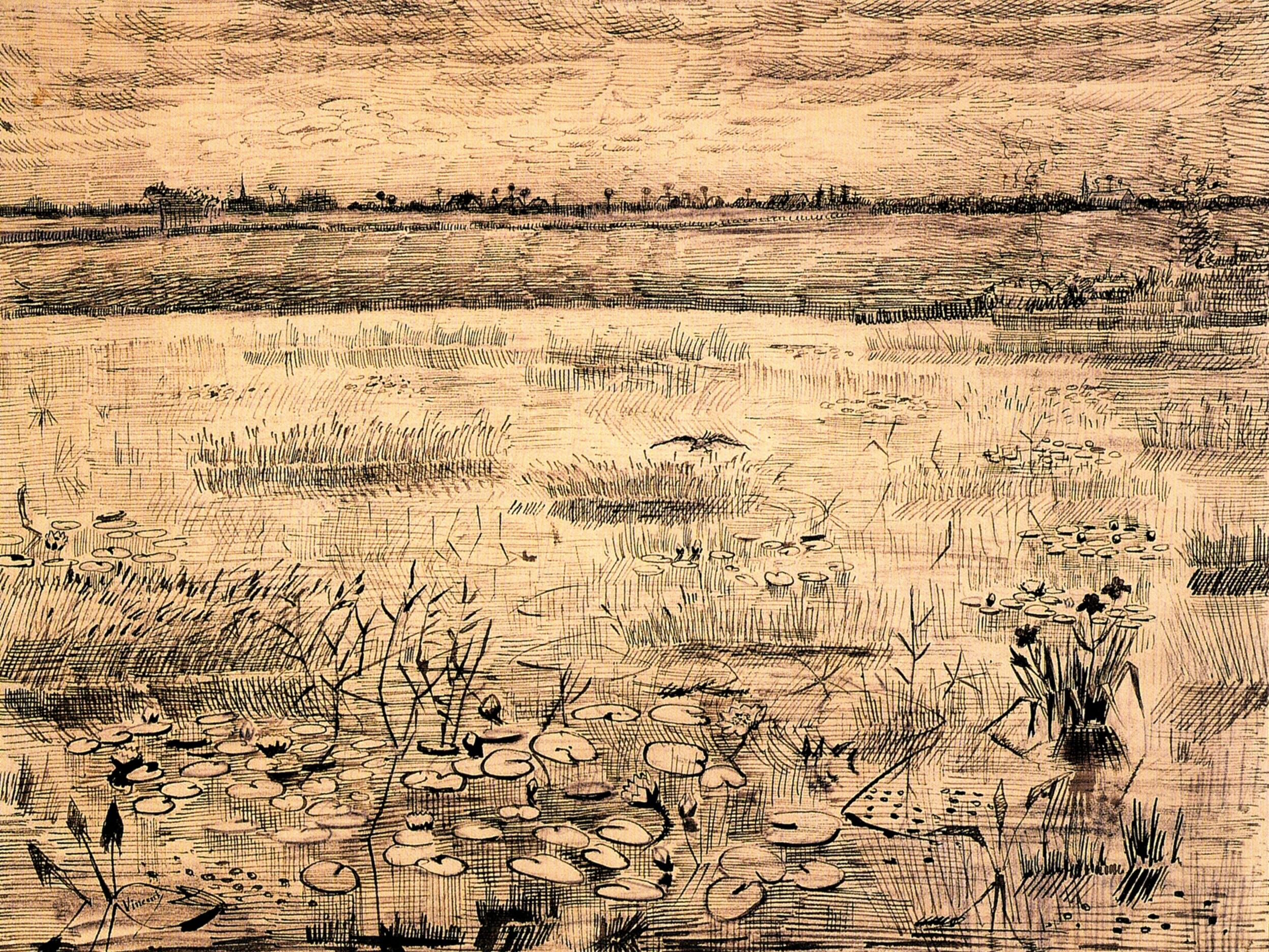 Marsh with Water Lillies (1881) Vincent van Gogh tablo - Dekolata