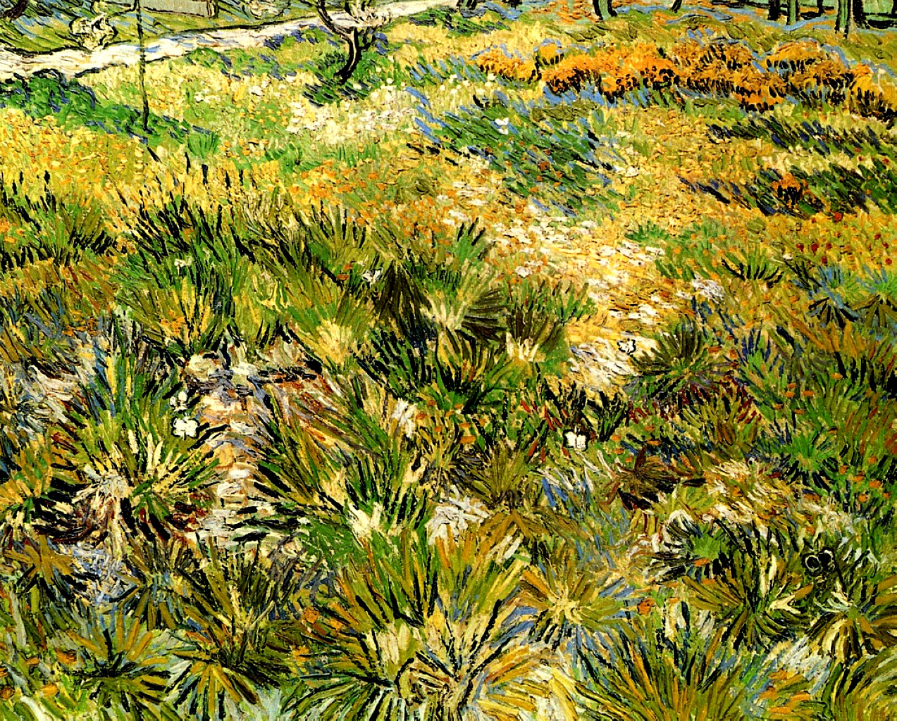 Meadow in the Garden of Saint Paul Hospital (1890) Vincent van Gogh tablo - Dekolata