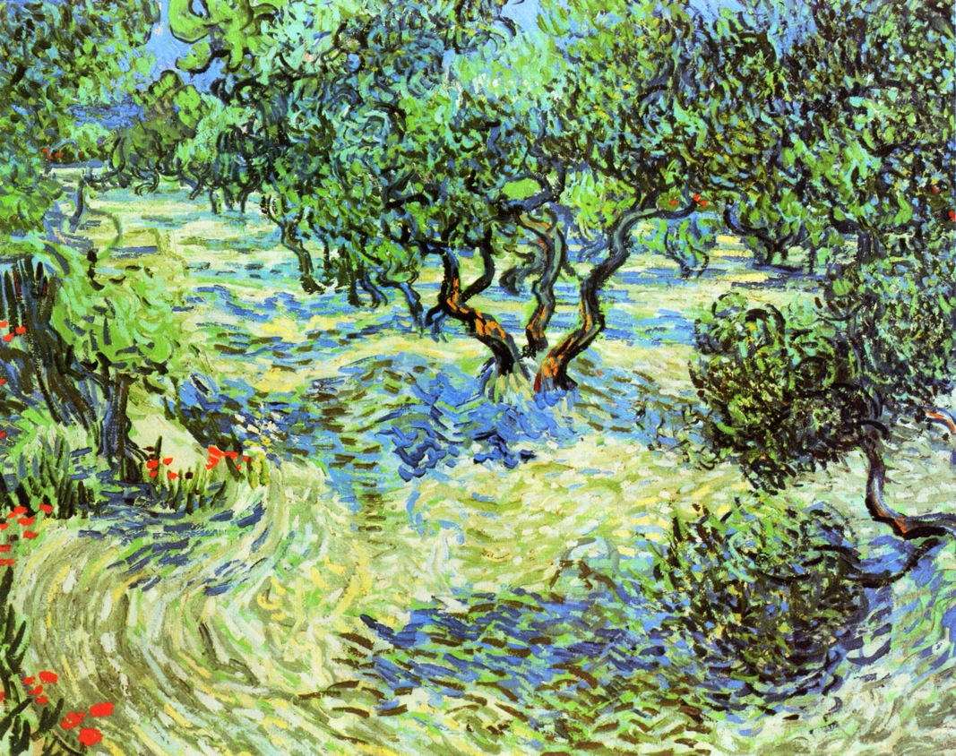 Olive Grove Bright Blue Sky (1889) Vincent van Gogh tablo - Dekolata