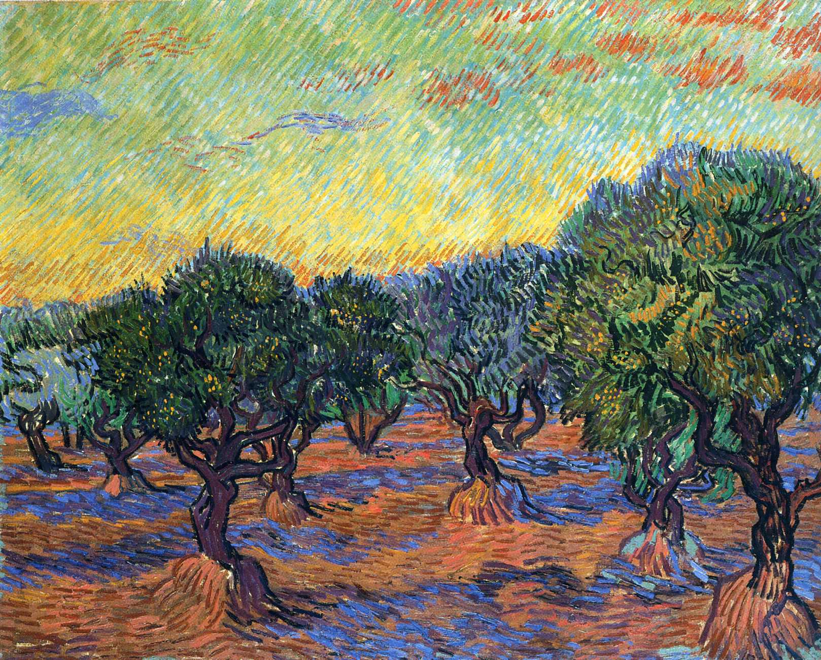 Olive Grove Orange Sky (1889) Vincent van Gogh tablo - Dekolata