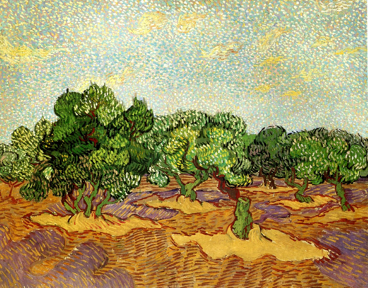 Olive Grove Pale Blue Sky (1889) Vincent van Gogh tablo - Dekolata