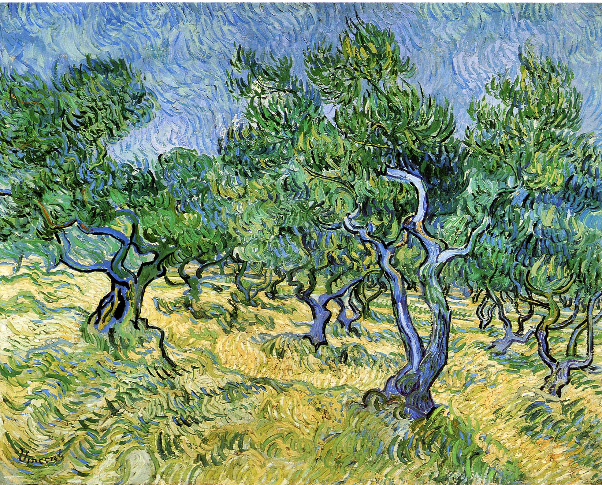 Olive Grove (1889) Vincent van Gogh tablo - Dekolata