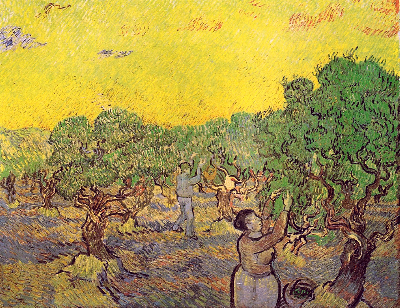 Olive Grove with Picking Figures (1889) Vincent van Gogh tablo - Dekolata