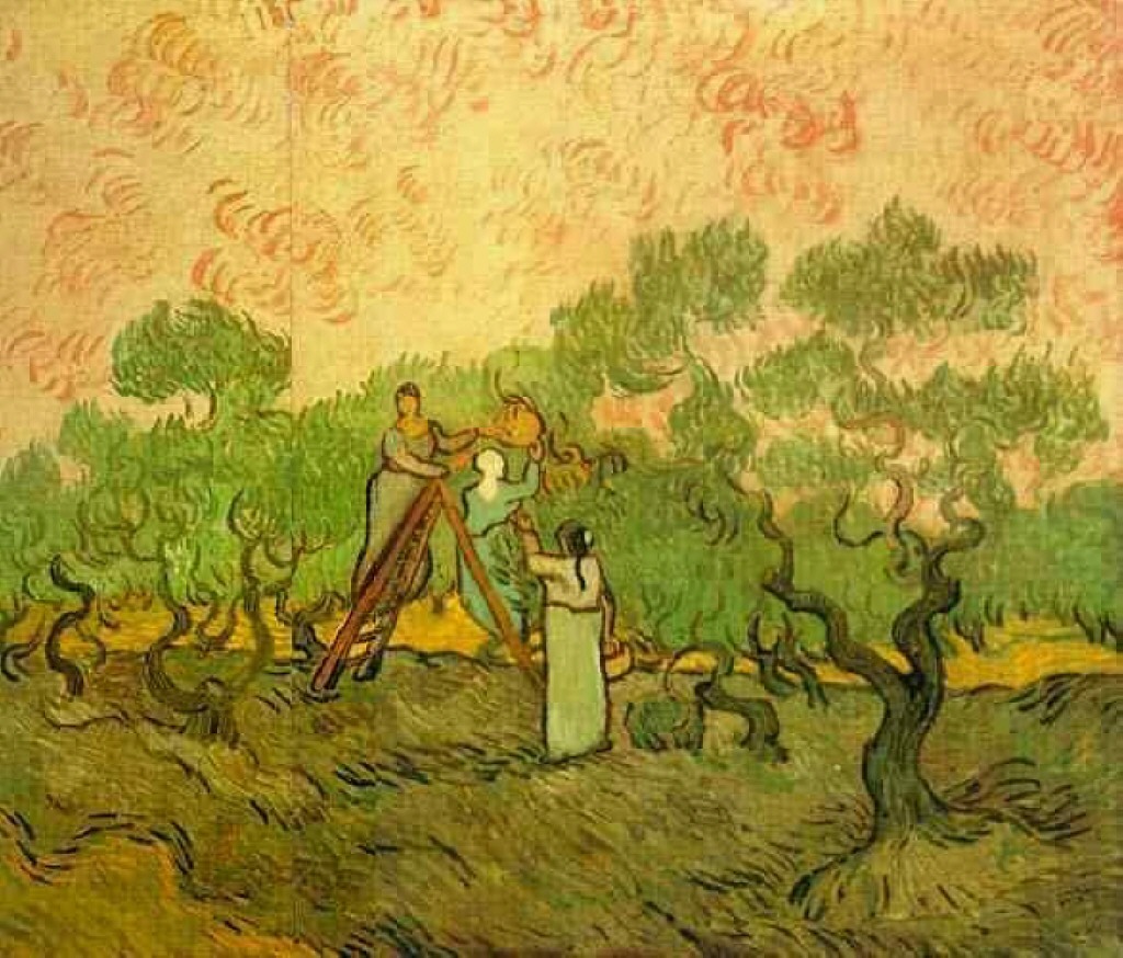 Olive Picking (1889) Vincent van Gogh tablo - Dekolata